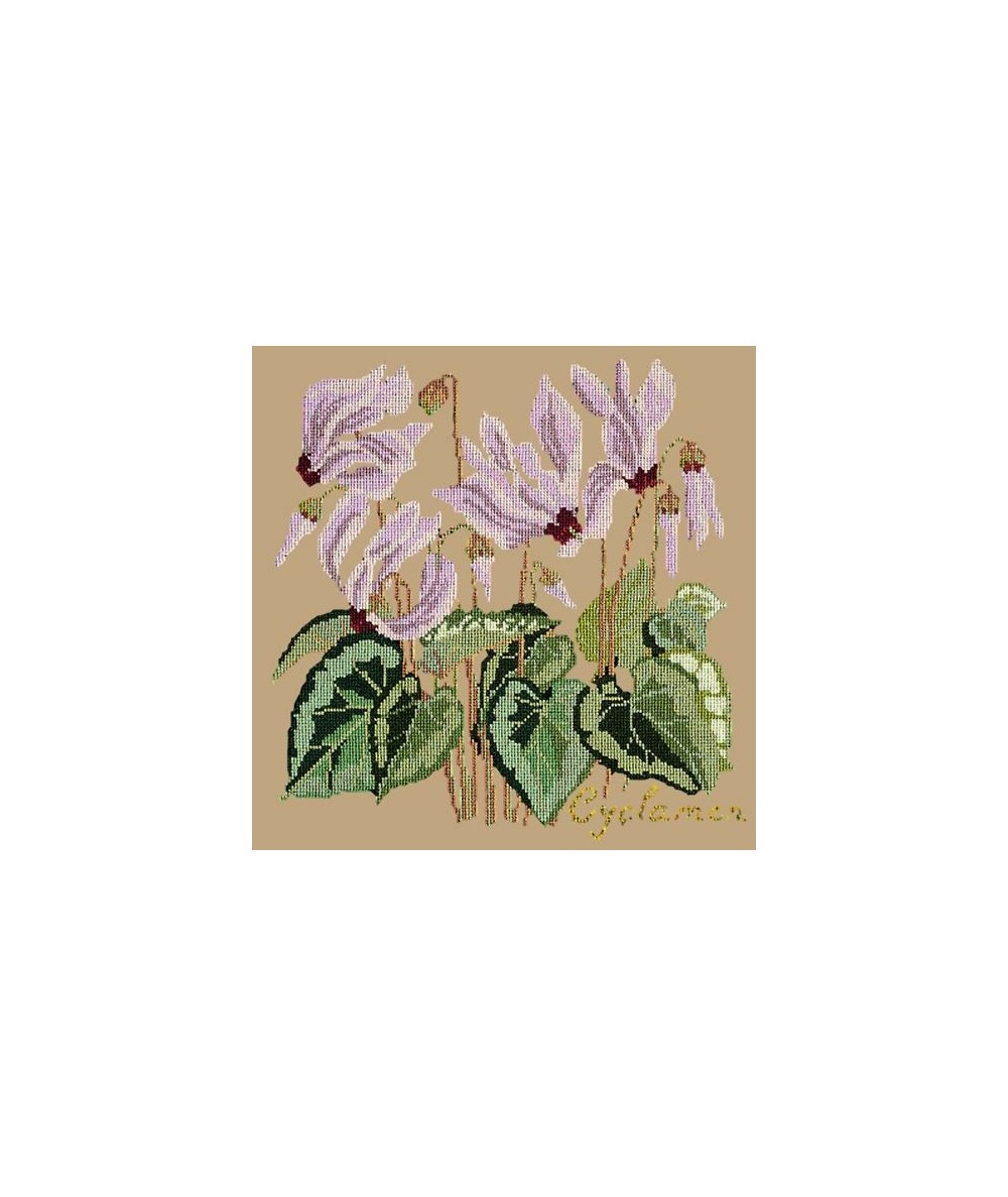 Elizabeth Bradley, Botanical Garden, CYCLAMEN - 16x16 pollici Elizabeth Bradley - 17