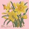 Elizabeth Bradley, Botanical Garden, DAFFODIL - 16x16 pollici Elizabeth Bradley - 2