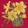 Elizabeth Bradley, Botanical Garden, DAFFODIL - 16x16 pollici Elizabeth Bradley - 4