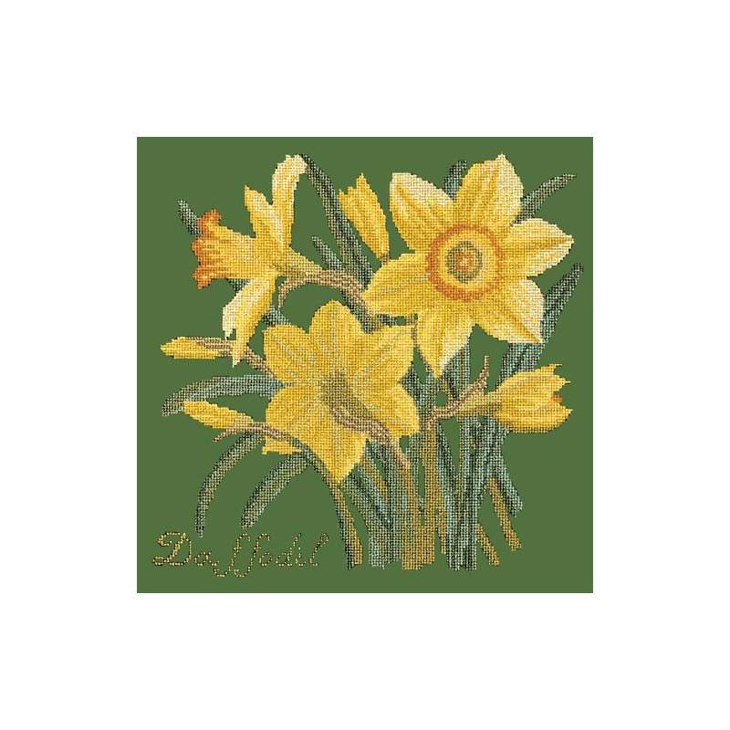 Elizabeth Bradley, Botanical Garden, DAFFODIL - 16x16 pollici Elizabeth Bradley - 6
