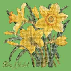 Elizabeth Bradley, Botanical Garden, DAFFODIL - 16x16 pollici Elizabeth Bradley - 7
