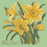 Elizabeth Bradley, Botanical Garden, DAFFODIL - 16x16 pollici Elizabeth Bradley - 9