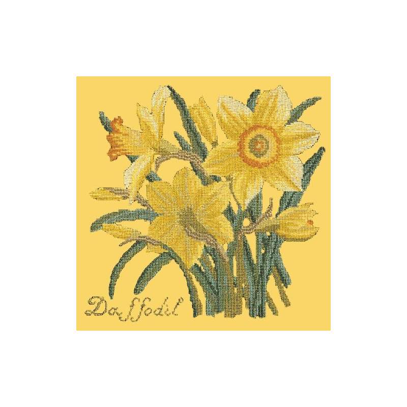 Elizabeth Bradley, Botanical Garden, DAFFODIL - 16x16 pollici Elizabeth Bradley - 11