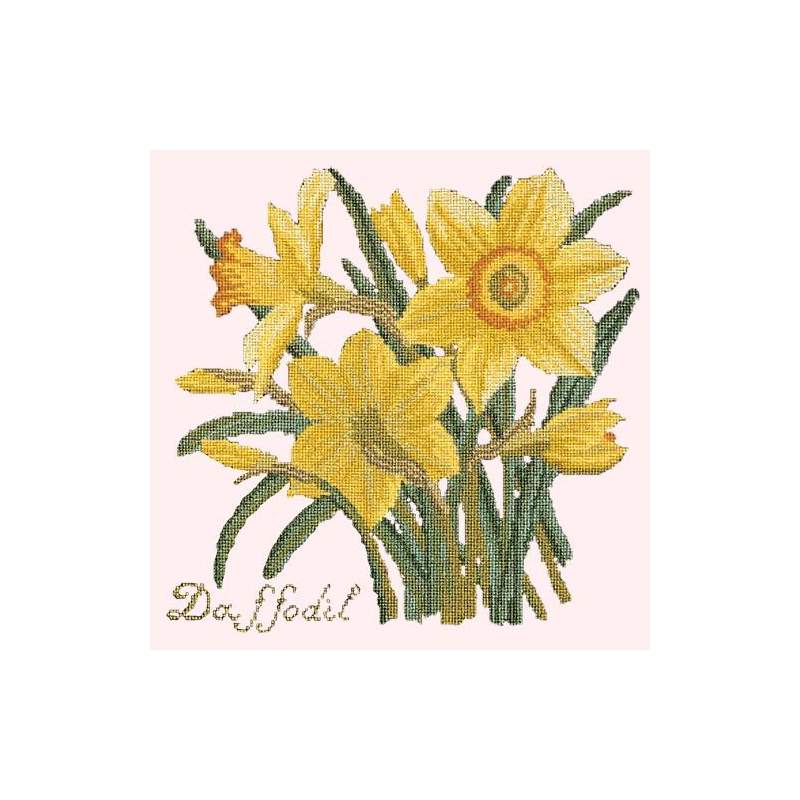 Elizabeth Bradley, Botanical Garden, DAFFODIL - 16x16 pollici Elizabeth Bradley - 12