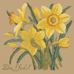 Elizabeth Bradley, Botanical Garden, DAFFODIL - 16x16 pollici Elizabeth Bradley - 17