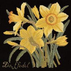 Elizabeth Bradley, Botanical Garden, DAFFODIL - 16x16 pollici Elizabeth Bradley - 18