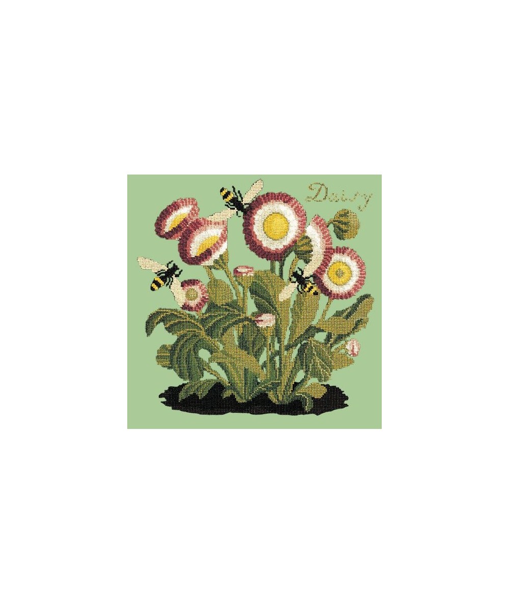 Elizabeth Bradley, Botanical Garden, DAISY - 16x16 pollici Elizabeth Bradley - 9