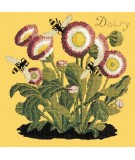 Elizabeth Bradley, Botanical Garden, DAISY - 16x16 pollici Elizabeth Bradley - 11