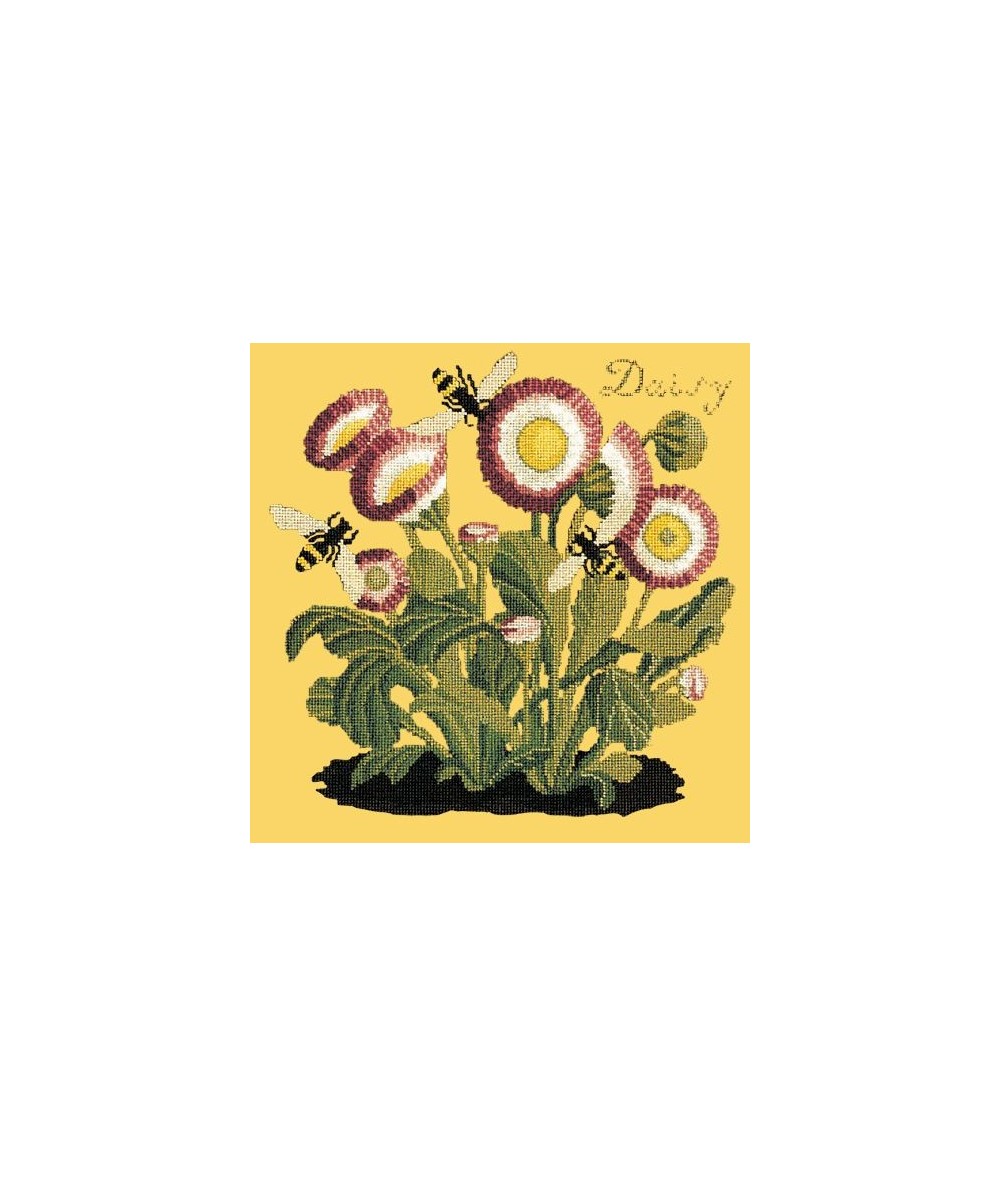 Elizabeth Bradley, Botanical Garden, DAISY - 16x16 pollici Elizabeth Bradley - 11